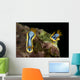 Pair Chromodoris Annae Nudibranch Wall Decal