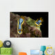 Pair Chromodoris Annae Nudibranch Wall Decal
