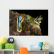 Pair Chromodoris Annae Nudibranch Wall Decal