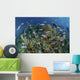 Divers Exploring Caribbean Reef Wall Decal