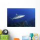 Pair Caribbean Reef Sharks Wall Decal