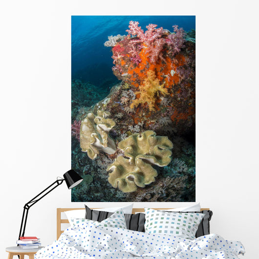 Colorful Reef Scene Wall Decal