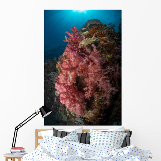Colorful Reef Scene Pink Wall Decal