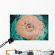 Top Pnk Barrel Sponge Wall Decal
