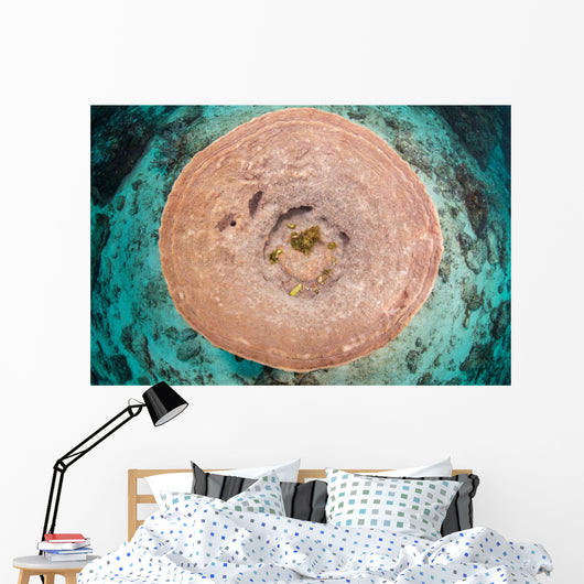 Top Pnk Barrel Sponge Wall Decal