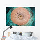 Top Pnk Barrel Sponge Wall Decal