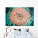 Top Pnk Barrel Sponge Wall Decal