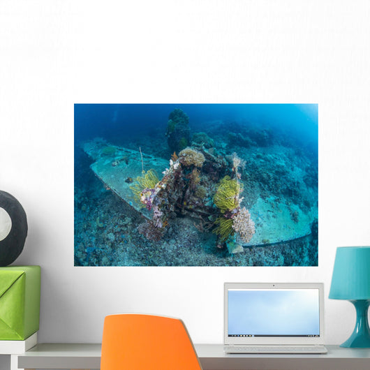Airplane Wreck Sitting atop Wall Decal