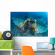 Airplane Wreck Sitting atop Wall Decal
