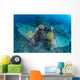 Airplane Wreck Sitting atop Wall Decal