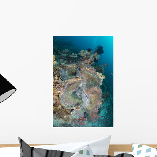 Colorful Reef Scene Landscape Wall Decal