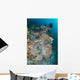 Colorful Reef Scene Landscape Wall Decal