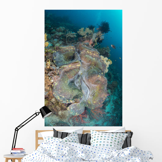 Colorful Reef Scene Landscape Wall Decal