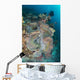 Colorful Reef Scene Landscape Wall Decal