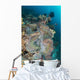 Colorful Reef Scene Landscape Wall Decal