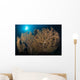 Large Yellow Brown Gorgonian Wall Decal