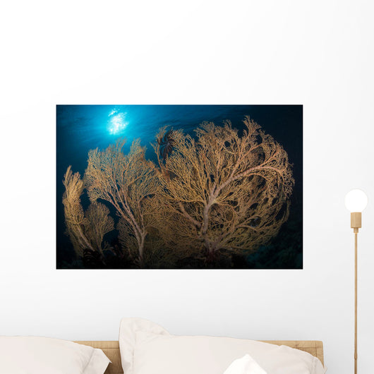 Large Yellow Brown Gorgonian Wall Decal
