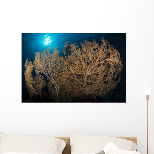 Large Yellow Brown Gorgonian Wall Decal