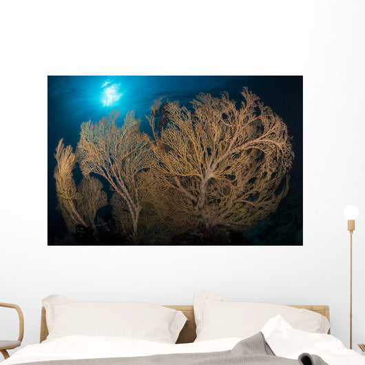 Large Yellow Brown Gorgonian Wall Decal