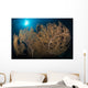 Large Yellow Brown Gorgonian Wall Decal