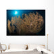 Large Yellow Brown Gorgonian Wall Decal