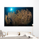Large Yellow Brown Gorgonian Wall Decal