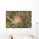 Brown and White Gastropod Wall Decal