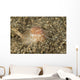 Brown and White Gastropod Wall Decal