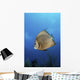 French Angelfish Jardines La Wall Decal
