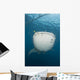 Massive Whale Shark with Wall Decal