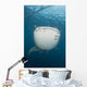 Massive Whale Shark with Wall Decal