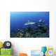 Caribbean Reef Sharks Swimming Horizontal Wall Decal