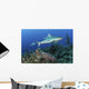Several Caribbean Reef Sharks Ocean Wall Decal