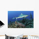 Several Caribbean Reef Sharks Ocean Wall Decal