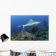 Several Caribbean Reef Sharks Ocean Wall Decal