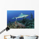 Several Caribbean Reef Sharks Ocean Wall Decal