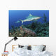 Several Caribbean Reef Sharks Ocean Wall Decal