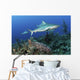 Several Caribbean Reef Sharks Ocean Wall Decal