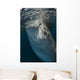 Large Whale Shark Siphoning Vertical Wall Decal