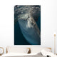 Large Whale Shark Siphoning Vertical Wall Decal