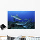 Caribbean Reef Sharks Swimming Together Wall Decal
