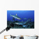 Caribbean Reef Sharks Swimming Together Wall Decal