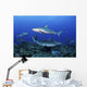 Caribbean Reef Sharks Swimming Wall Decal