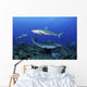 Caribbean Reef Sharks Swimming Wall Decal