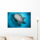 Whale Shark Seen Wall Decal