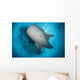 Whale Shark Seen Wall Decal