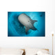 Whale Shark Seen Wall Decal