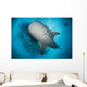 Whale Shark Seen Wall Decal