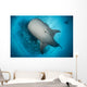 Whale Shark Seen Wall Decal