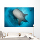 Whale Shark Seen Wall Decal